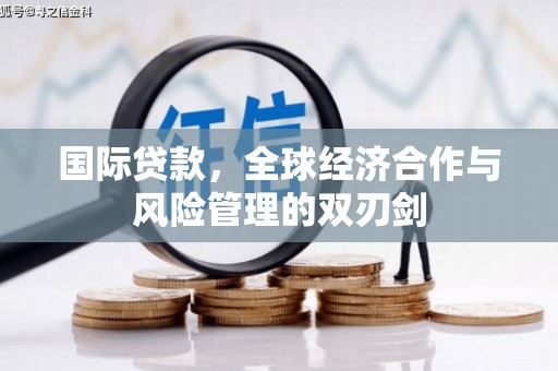 资阳国际贷款，全球经济合作与风险管理的双刃剑