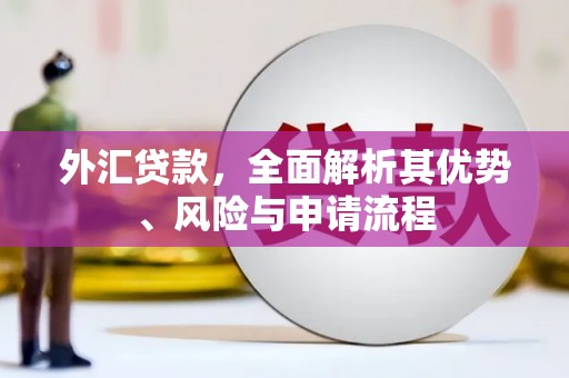 资阳外汇贷款，全面解析其优势、风险与申请流程