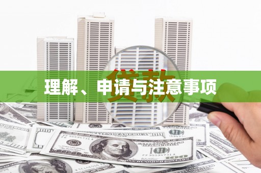 资阳理解、申请与注意事项