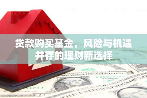 资阳贷款购买基金，风险与机遇并存的理财新选择