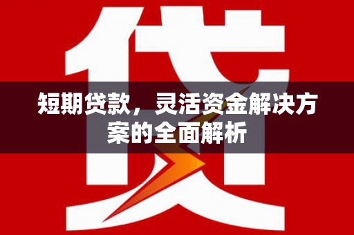 资阳短期贷款，灵活资金解决方案的全面解析