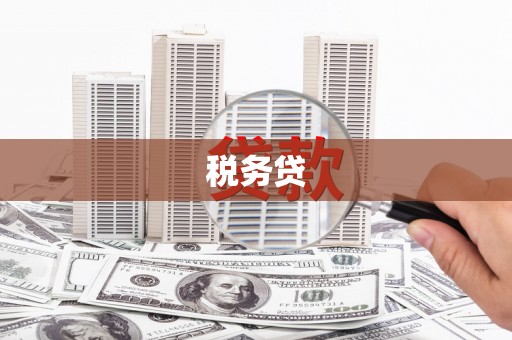 资阳税务贷