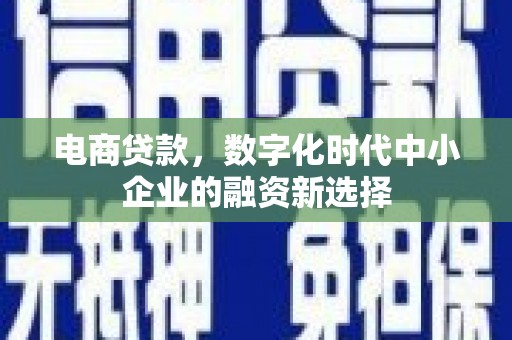 资阳电商贷款，数字化时代中小企业的融资新选择