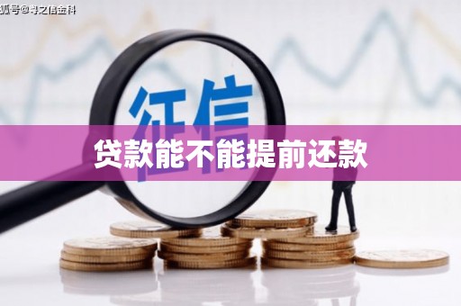 资阳贷款能不能提前还款
