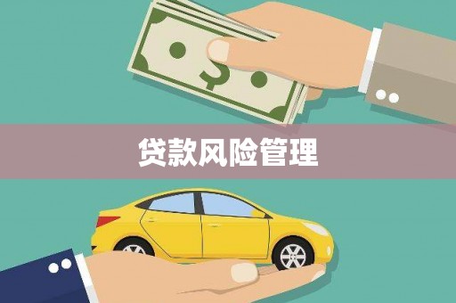 资阳贷款风险管理