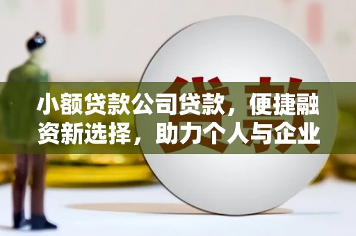 资阳小额贷款公司贷款，便捷融资新选择，助力个人与企业成长