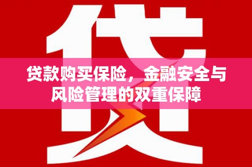 资阳贷款购买保险，金融安全与风险管理的双重保障