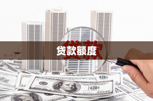 资阳贷款额度