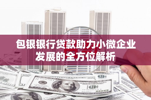 资阳包银银行贷款助力小微企业发展的全方位解析