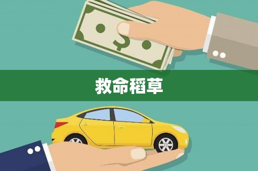 资阳救命稻草
