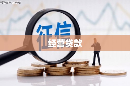 资阳经营贷款