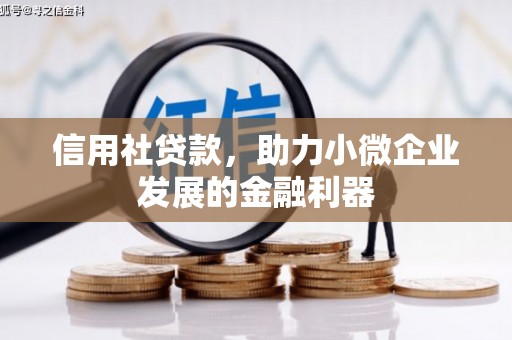 资阳信用社贷款，助力小微企业发展的金融利器