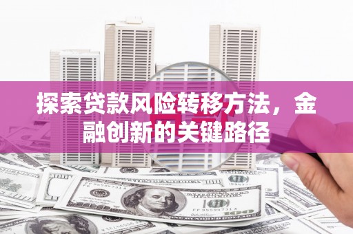 资阳探索贷款风险转移方法，金融创新的关键路径