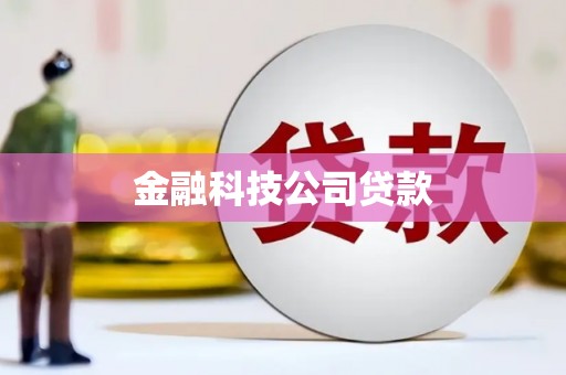 资阳金融科技公司贷款