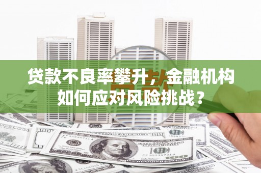 资阳贷款不良率攀升，金融机构如何应对风险挑战？