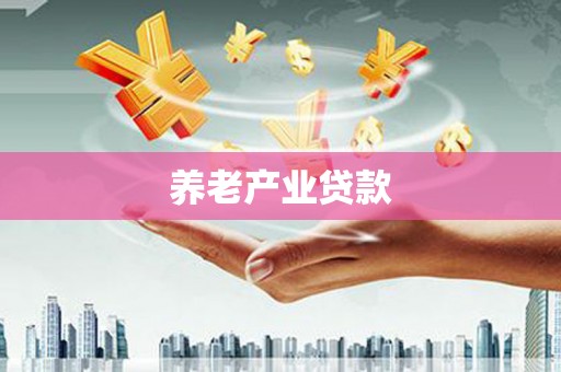 资阳养老产业贷款