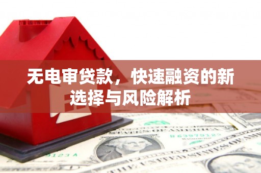 资阳无电审贷款，快速融资的新选择与风险解析
