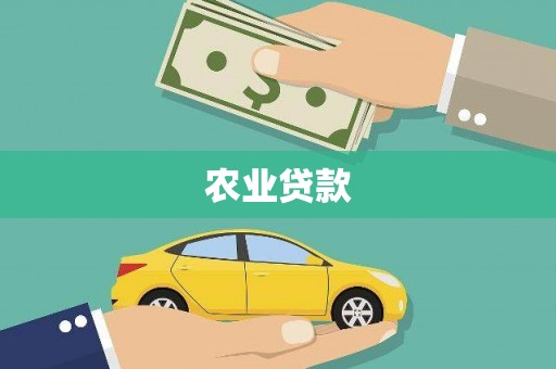 资阳农业贷款