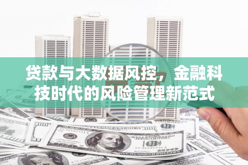 资阳贷款与大数据风控，金融科技时代的风险管理新范式