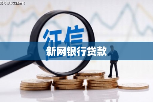资阳新网银行贷款