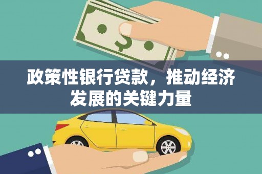 资阳政策性银行贷款，推动经济发展的关键力量
