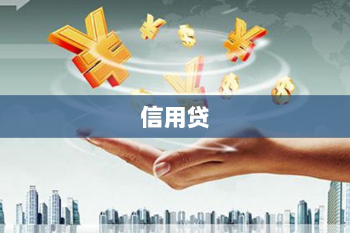 资阳信用贷