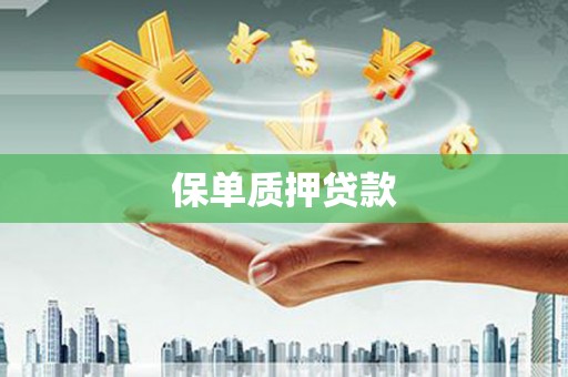 资阳保单质押贷款