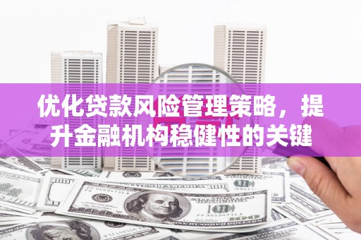 资阳优化贷款风险管理策略，提升金融机构稳健性的关键