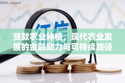 资阳贷款农业种植，现代农业发展的金融助力与可持续路径
