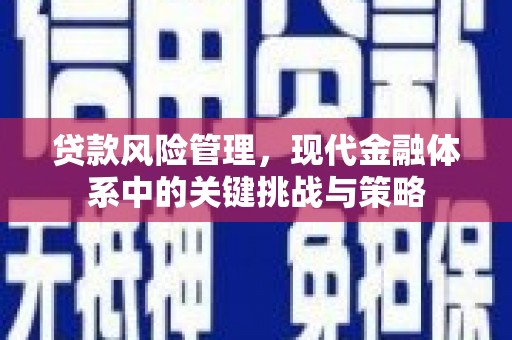 资阳贷款风险管理，现代金融体系中的关键挑战与策略