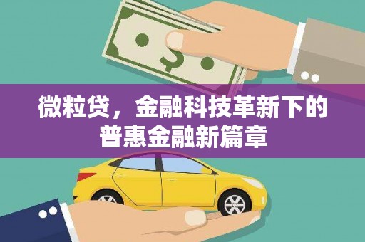 资阳微粒贷，金融科技革新下的普惠金融新篇章