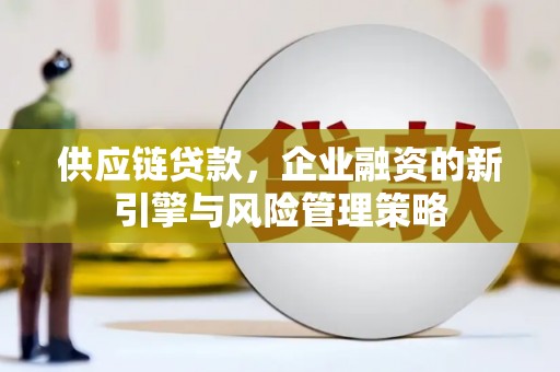 资阳供应链贷款，企业融资的新引擎与风险管理策略