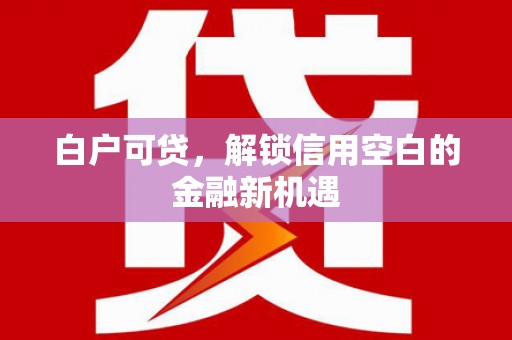 资阳白户可贷，解锁信用空白的金融新机遇