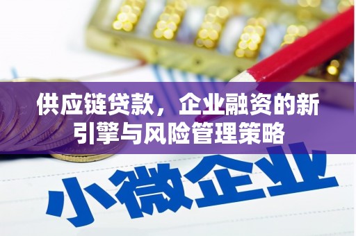 资阳供应链贷款，企业融资的新引擎与风险管理策略