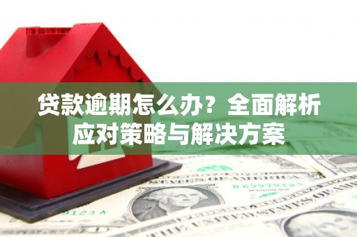 资阳贷款逾期怎么办？全面解析应对策略与解决方案