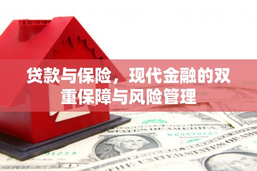 资阳贷款与保险，现代金融的双重保障与风险管理