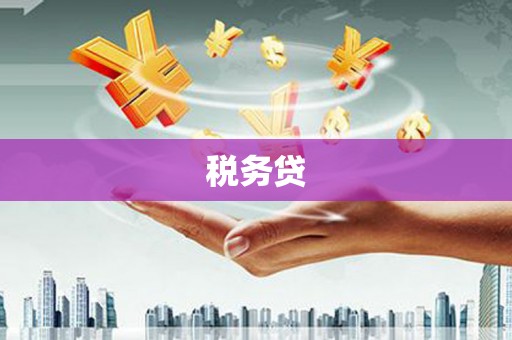 资阳税务贷