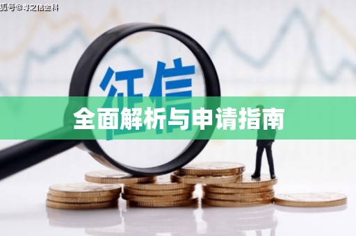 资阳全面解析与申请指南
