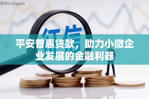 资阳平安普惠贷款，助力小微企业发展的金融利器