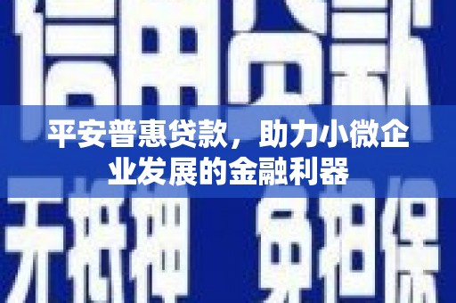 资阳平安普惠贷款，助力小微企业发展的金融利器