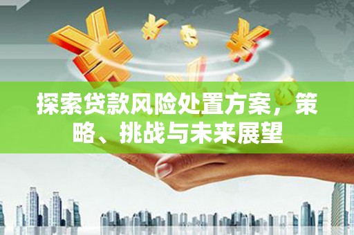资阳探索贷款风险处置方案，策略、挑战与未来展望