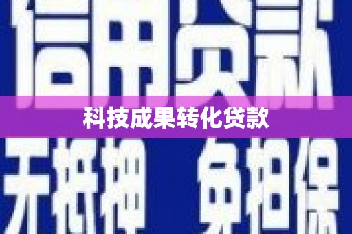资阳科技成果转化贷款