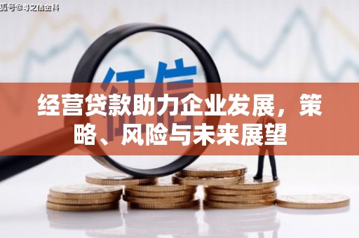 资阳经营贷款助力企业发展，策略、风险与未来展望