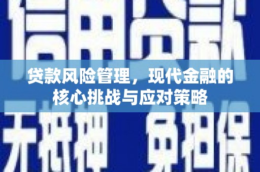 资阳贷款风险管理，现代金融的核心挑战与应对策略