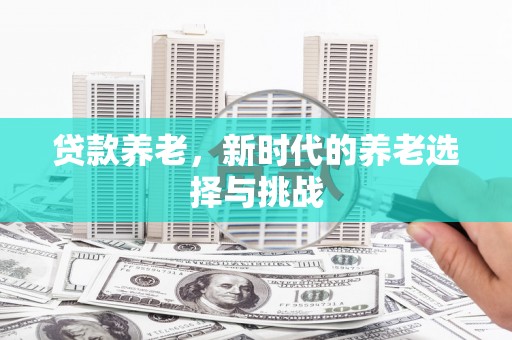 资阳贷款养老，新时代的养老选择与挑战