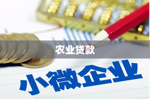 资阳农业贷款