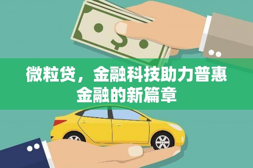 资阳微粒贷，金融科技助力普惠金融的新篇章