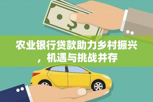 资阳农业银行贷款助力乡村振兴，机遇与挑战并存