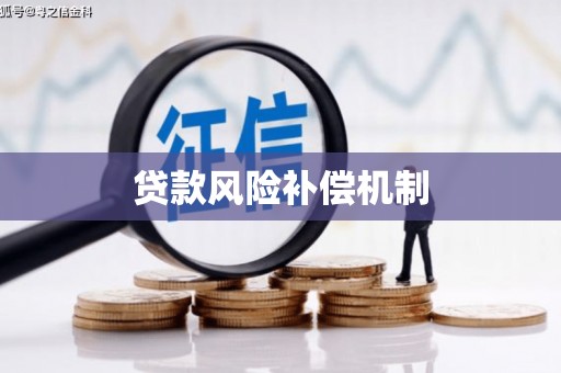 资阳贷款风险补偿机制