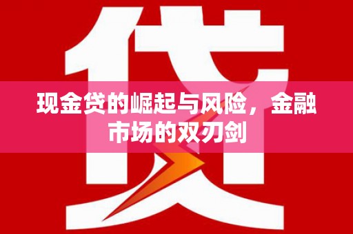 资阳现金贷的崛起与风险，金融市场的双刃剑